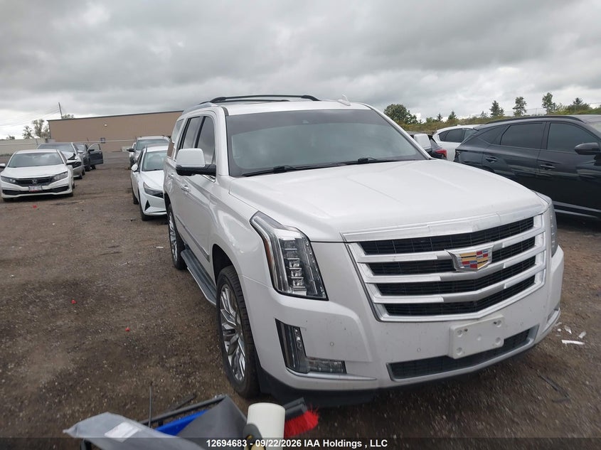 2016 Cadillac Escalade, Правый бок, IAAI, VIN 1GYS4CKJ0GR239553