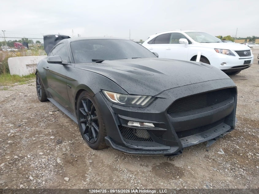 Vin: 1fa6p8cfxg5330476, lot: 3099712, ford mustang gt 2016 img_1