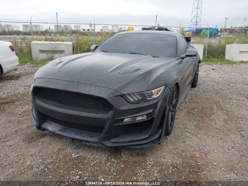 2016 Ford Mustang, Удар ззаду, IAAI, VIN 1FA6P8CFXG5330476 — фото 2