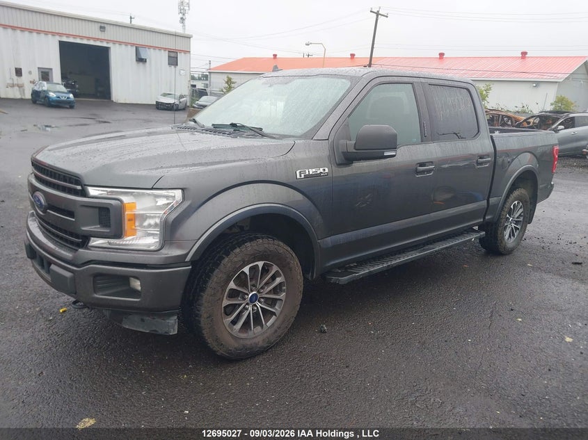 2018 Ford F-150, Вандализм, IAAI, VIN 1FTEW1EP5JFA10229 — фото 2