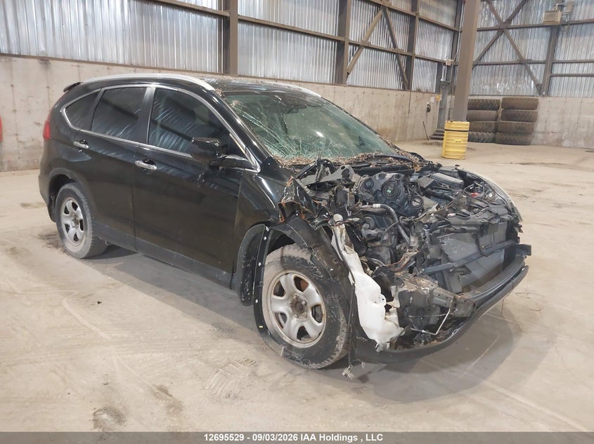 Vin: 5j6rm4h98gl807455, lot: 3100589, honda cr-v touring 2016 img_1