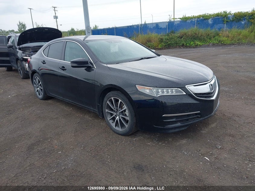 Vin: 19uub3f55ga801982, lot: 3101101, acura tlx tech 2016 img_1
