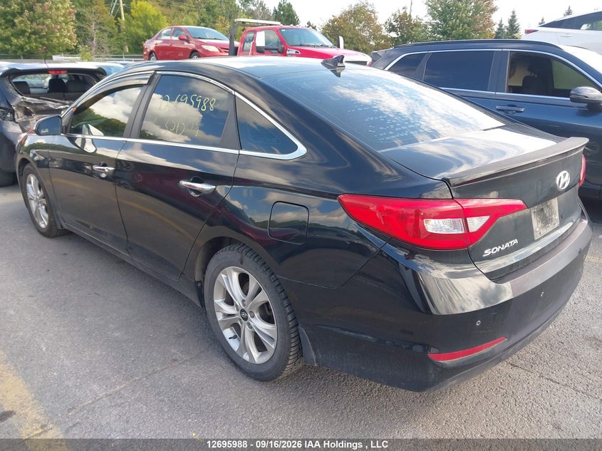 Vin: 5npe24af8gh351505, lot: 3101109, hyundai sonata gls special edition 20163