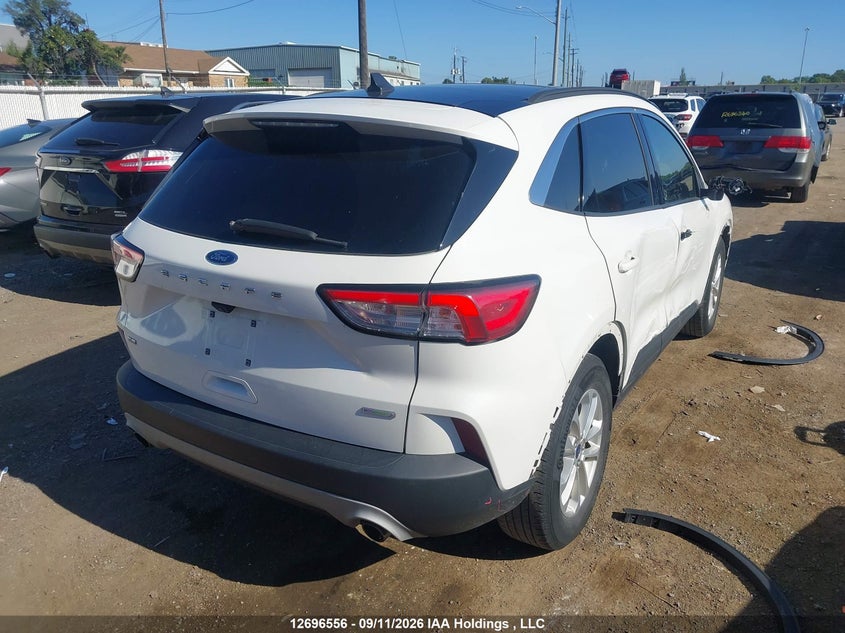 Vin: 1fmcu0g69lub50886, lot: 3101704, ford escape se 20204