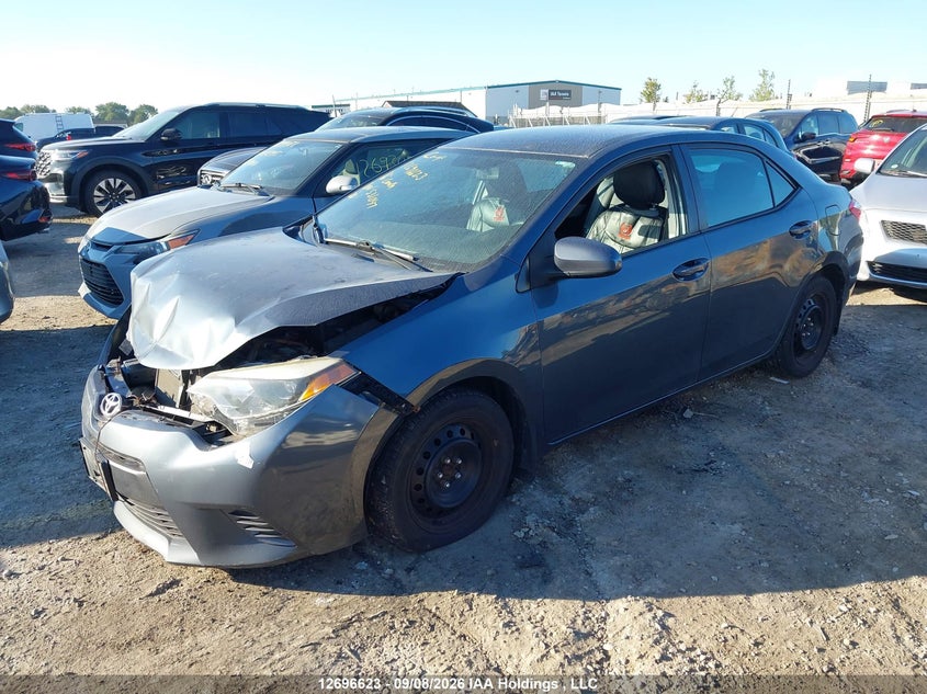 Vin: 2t1burhe3gc531047, lot: 3101776, toyota corolla le 20162