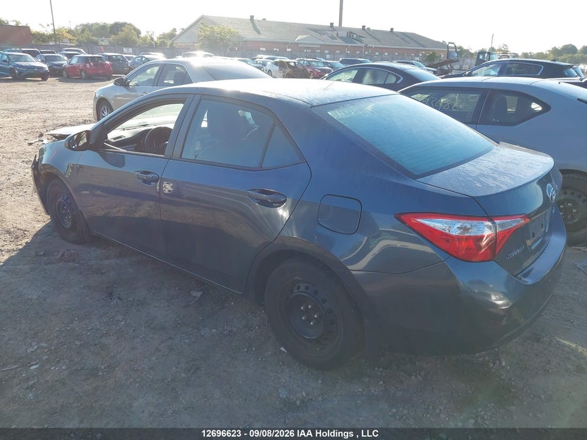 Vin: 2t1burhe3gc531047, lot: 3101776, toyota corolla le 20163