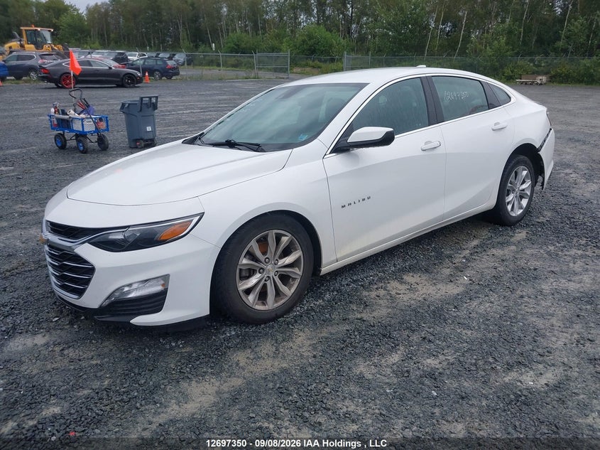 2023 Chevrolet Malibu 1Lt, Front, IAAI, VIN 1G1ZD5STXPF233075 — photo 2