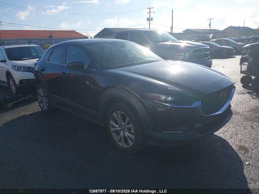 2020 Mazda Cx-30 Gs, Левый зад, IAAI, VIN 3MVDMBCL6LM132221
