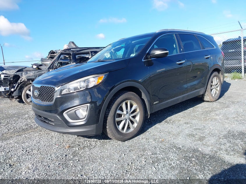 2016 Kia Sorento, Вандалізм, IAAI, VIN 5XYPGDA52GG145010 — фото 2