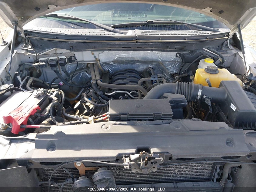 2014 FORD F-150 PICKUP 5.0L V-8 DOHC, VVT, REGULAR , 360HP