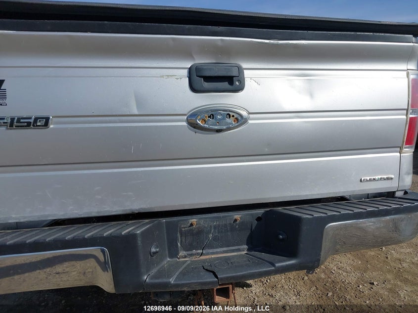 2014 FORD F-150 PICKUP 5.0L V-8 DOHC, VVT, REGULAR , 360HP
