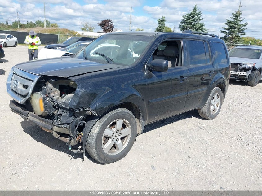 2009 Honda Pilot Exl, Right Side, IAAI, VIN 5FNYF48529B501656 — photo 2