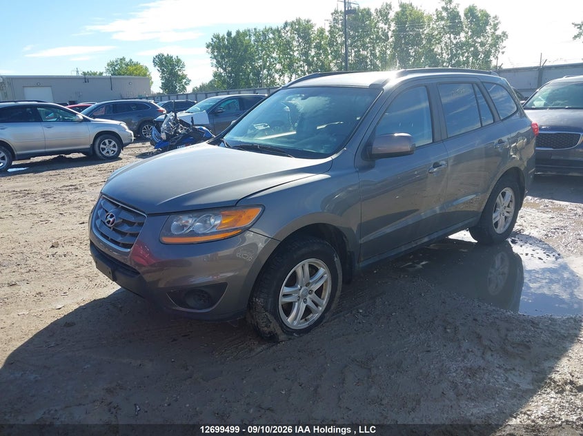 2010 Hyundai Santa Fe, Благодійність, IAAI, VIN 5NMSG3AB1AH385432 — фото 2