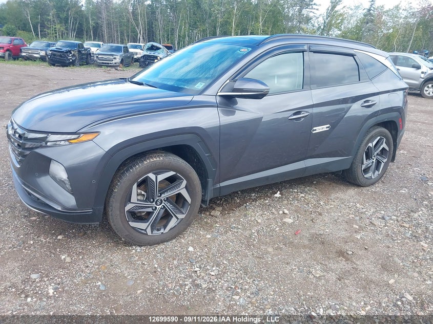 2023 Hyundai Tucson Luxury, Water, IAAI, VIN KM8JCCA14PU131144 — photo 2