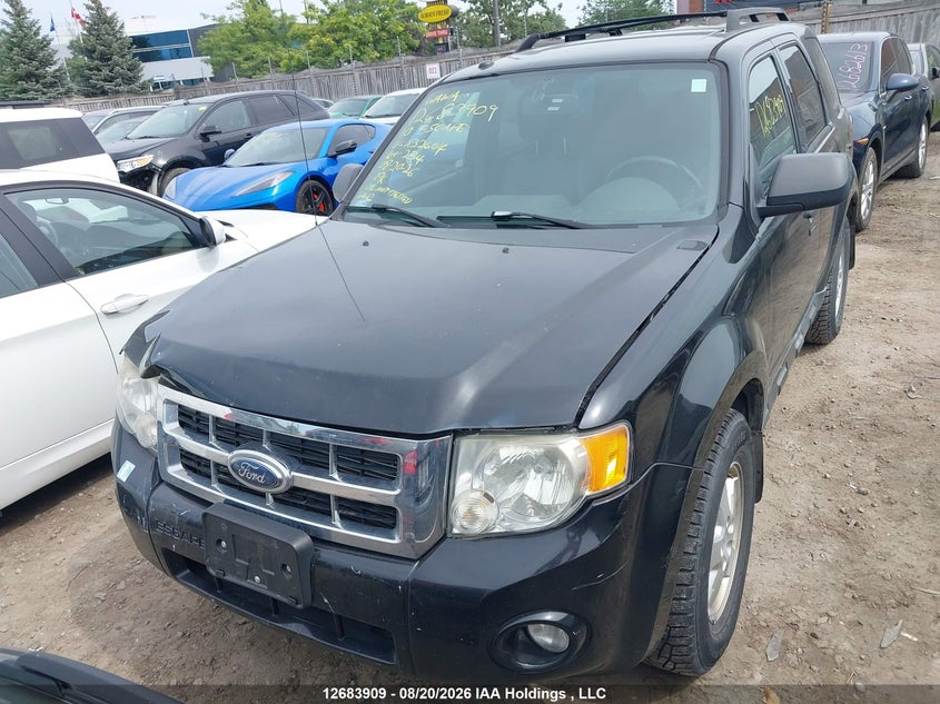 Vin: 1fmcu9dg5aka32604, lot: 3105044, ford escape xlt 20102