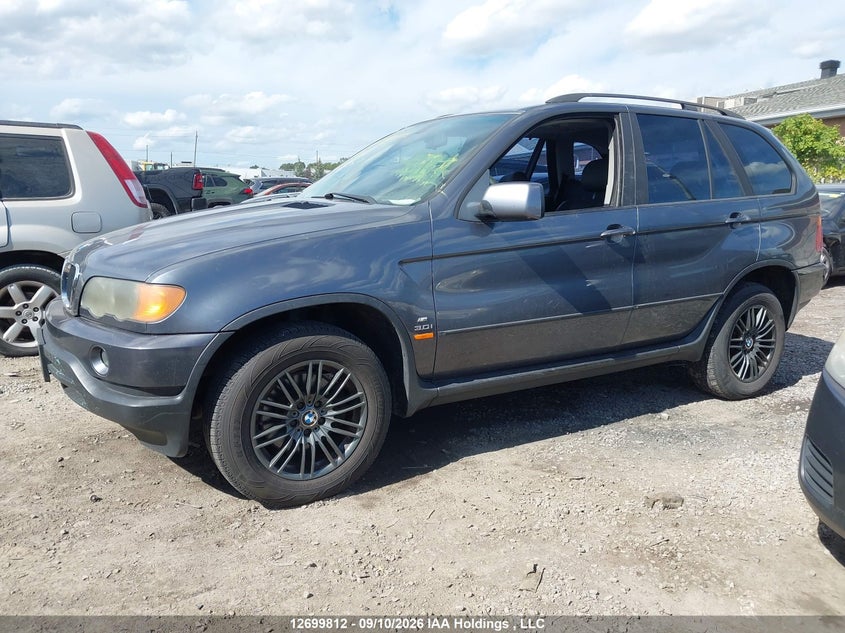2003 BMW X5 3.0I, Затопление, IAAI, VIN 5UXFA53533LW25067 — фото 2