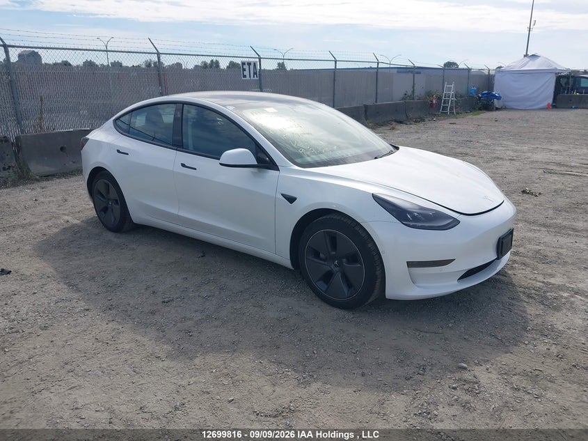 Vin: 5yj3e1ea7mf083021, lot: 3105174, tesla model 3 2021 img_1