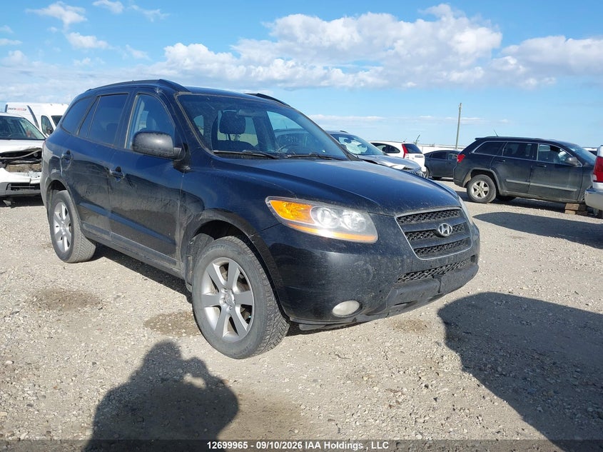 2009 Hyundai Santa Fe Gls Awd, Charity, IAAI, VIN 5NMSG73E99H318278