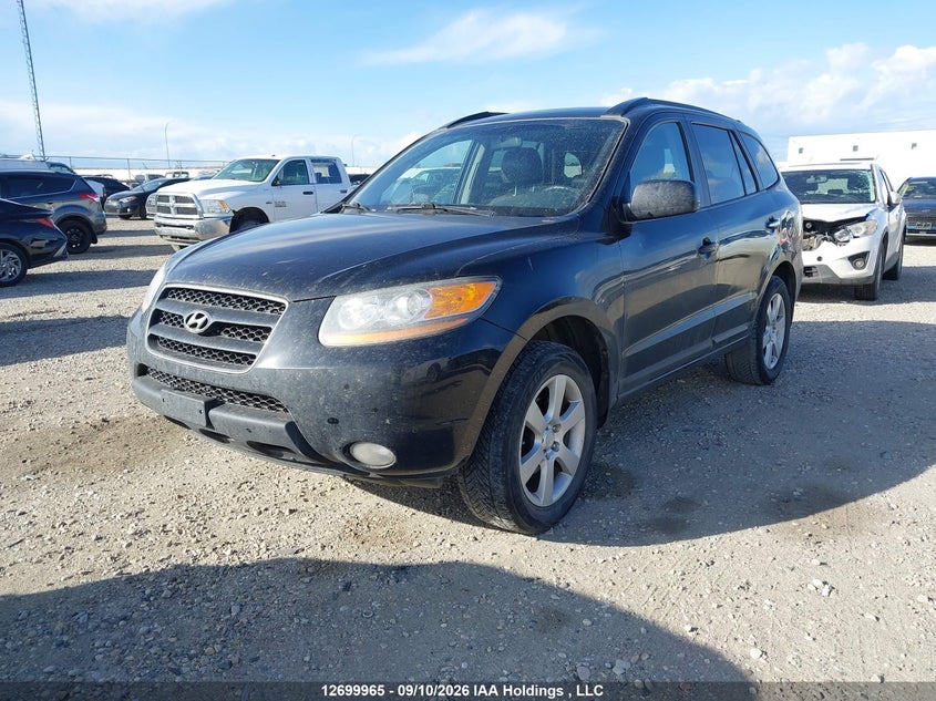 2009 Hyundai Santa Fe, Благотворительность, IAAI, VIN 5NMSG73E99H318278 — фото 2
