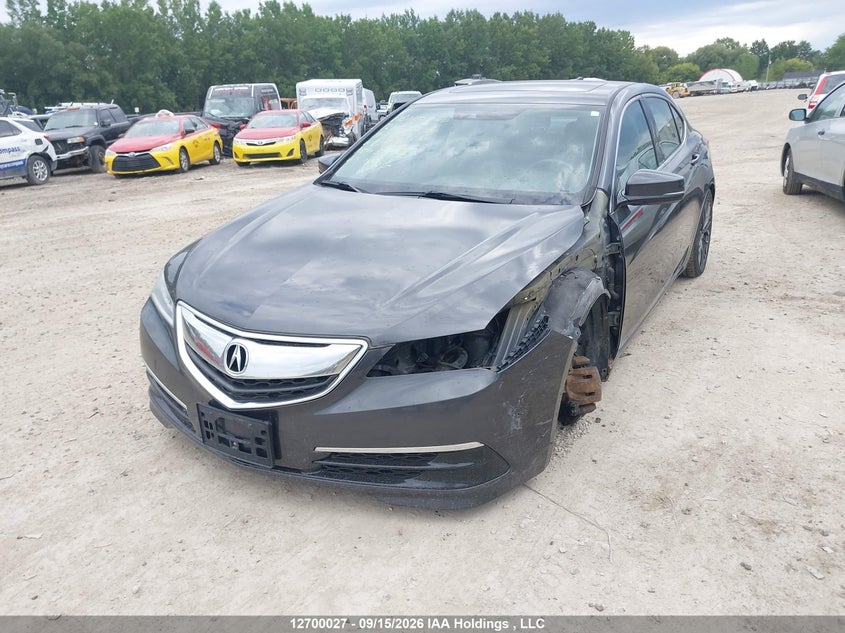 2016 Acura TLX, Удар спереду, IAAI, VIN 19UUB3F54GA800452 — фото 2