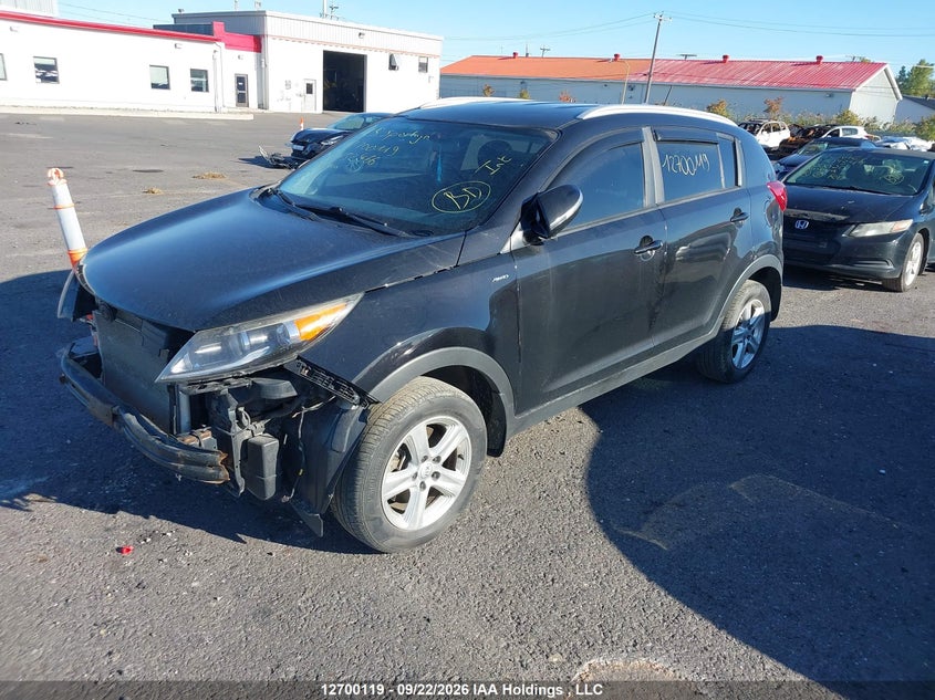 2015 Kia Sportage, Удар спереду, IAAI, VIN KNDPBCAC8F7752466 — фото 2