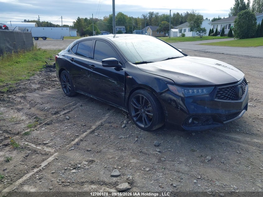 Vin: 19uub3f40la800028, lot: 3105574, acura tlx a-spec 2020 img_1