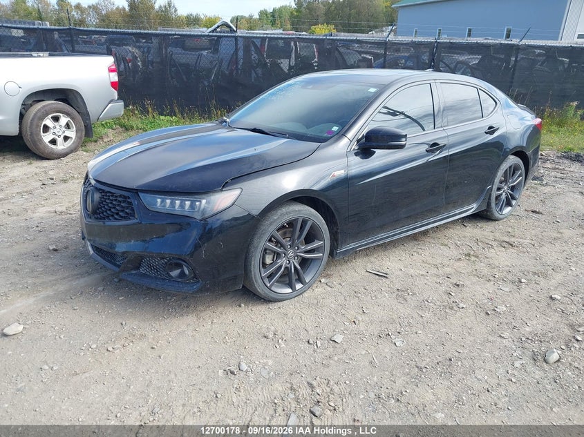 Vin: 19uub3f40la800028, lot: 3105574, acura tlx a-spec 20202