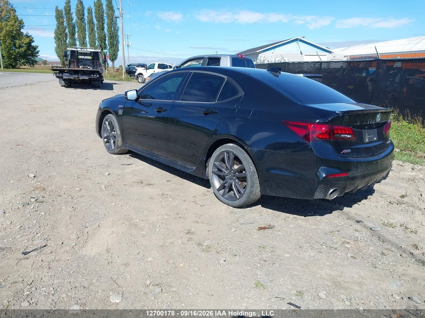 Vin: 19uub3f40la800028, lot: 3105574, acura tlx a-spec 20203