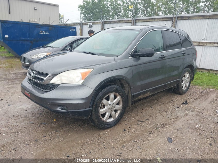 2011 Honda CR-V, Right Side, IAAI, VIN 5J6RE4H38BL812026 — photo 2