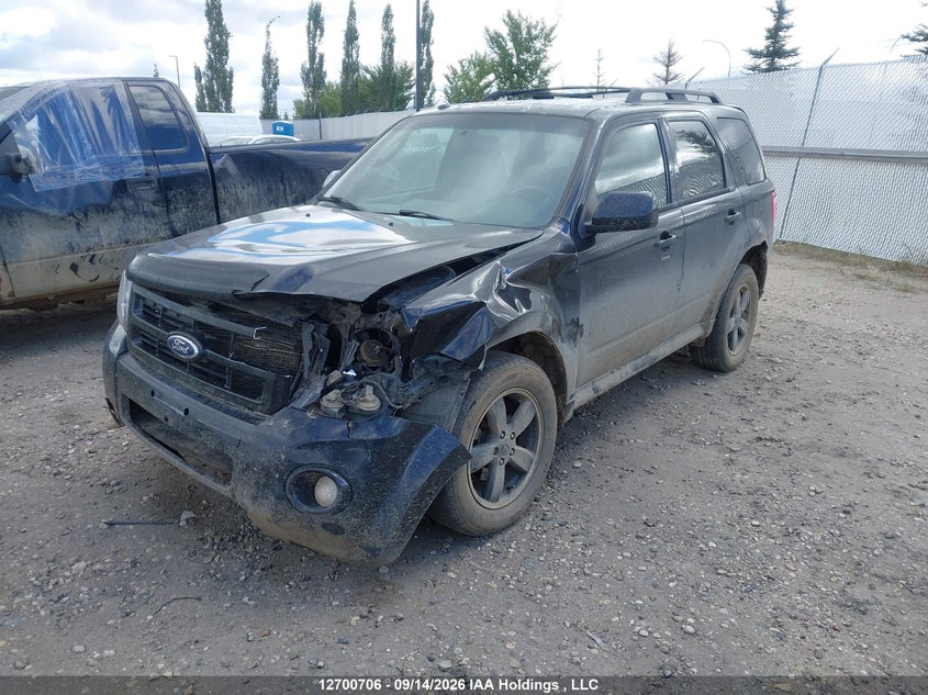 Vin: 1fmcu9dgxbkb00316, lot: 3106166, ford escape xlt 20112