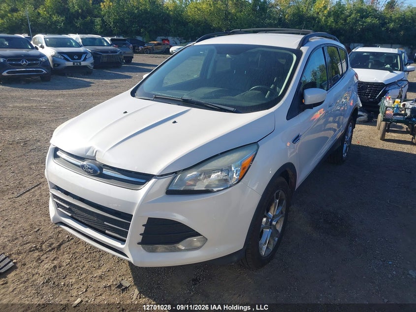 Vin: 1fmcu0gx5dua81706, lot: 3106523, ford escape se 20132