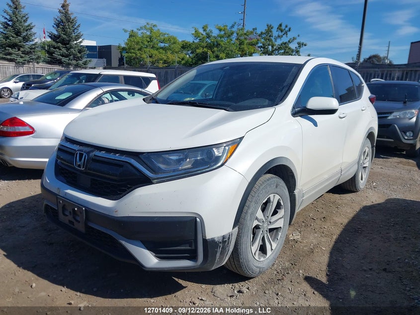 Vin: 2hkrw2h28mh211351, lot: 3106911, honda cr-v lx 20212