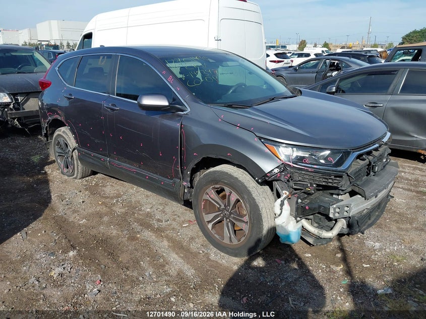 Vin: 2hkrw2h26kh149347, lot: 3107014, honda cr-v lx 2019 img_1