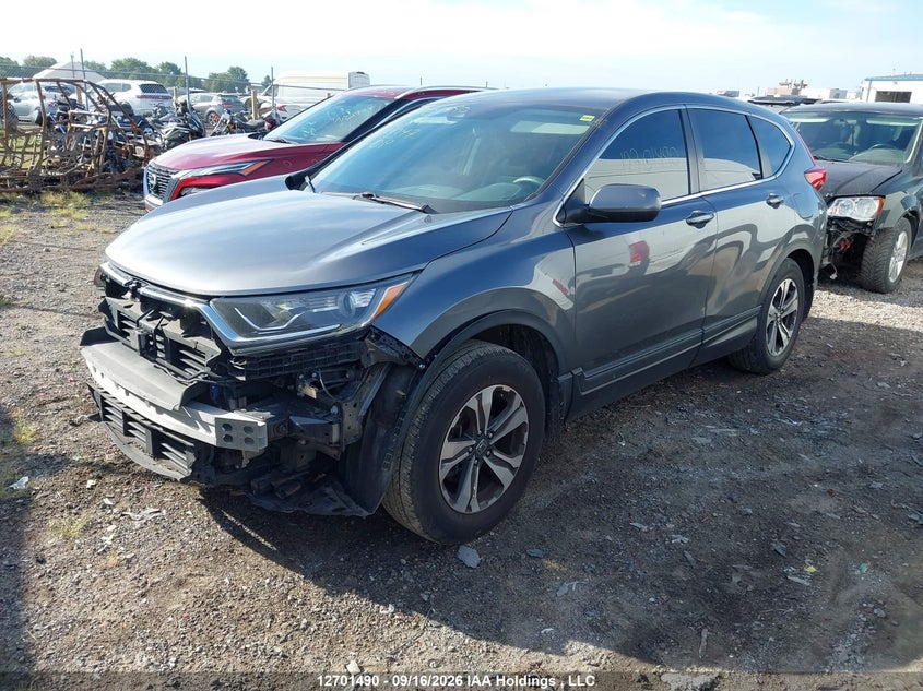 Vin: 2hkrw2h26kh149347, lot: 3107014, honda cr-v lx 20192