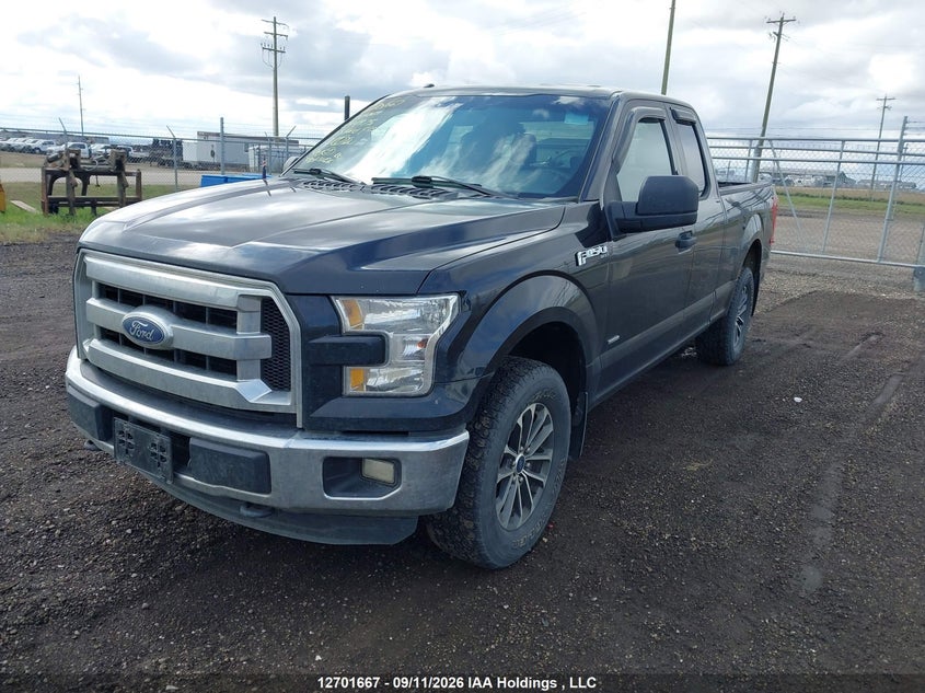 2015 Ford F-150, Rear, IAAI, VIN 1FTEX1EP2FKE44975 — photo 2
