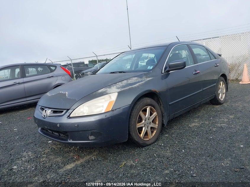2004 Honda Accord Ex V6, Rear, IAAI, VIN 1HGCM66404A802399 — photo 2