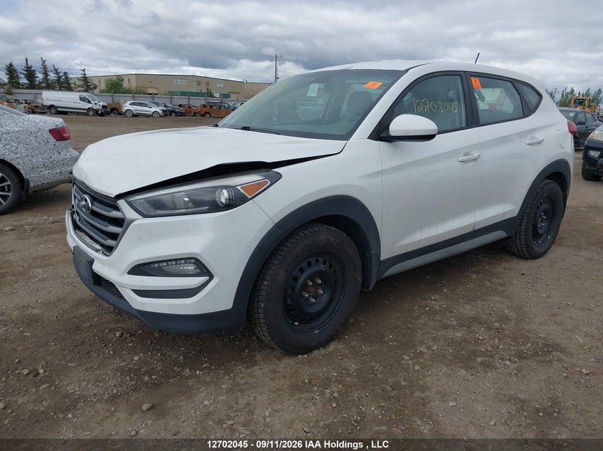 2017 Hyundai Tucson Se, Biohazard, IAAI, VIN KM8J23A47HU450410 — photo 2