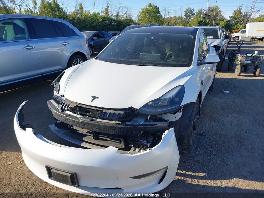 Vin: 5yj3e1ea2pf404399, lot: 3107785, tesla model 3 rwd 20232