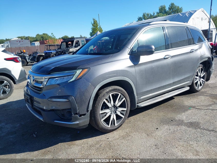 2019 Honda Pilot, Удар ззаду, IAAI, VIN 5FNYF6H93KB500844 — фото 2