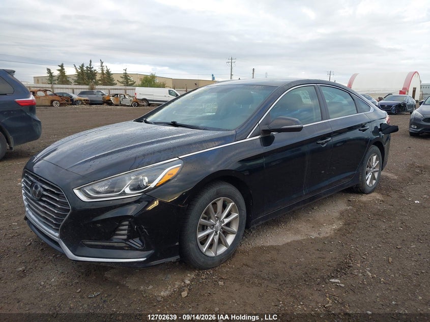 Vin: 5npe24af8kh789272, lot: 3108231, hyundai sonata se 20192