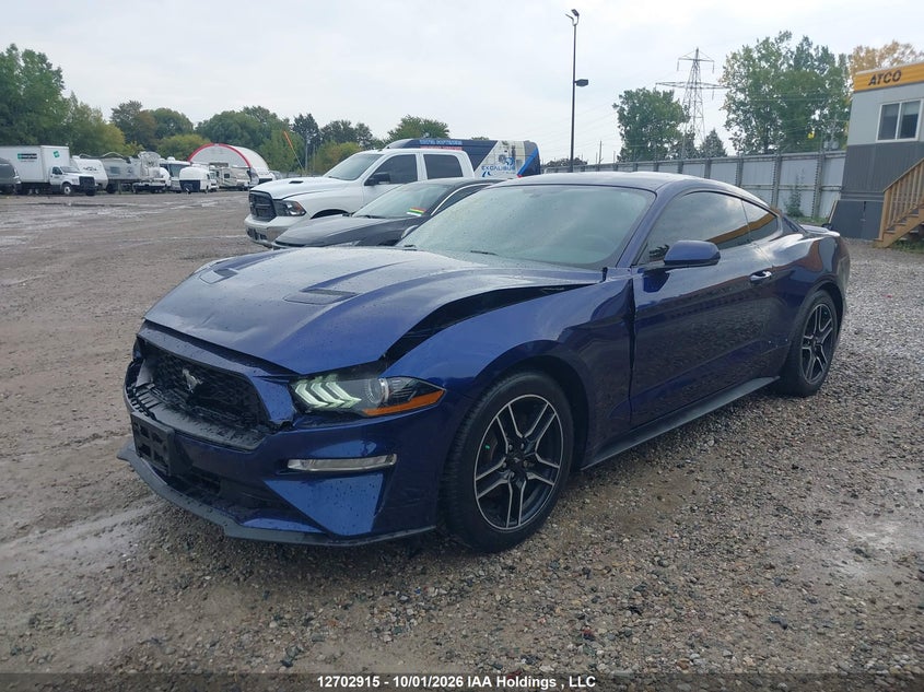 Vin: 1fa6p8th4k5144989, lot: 3108546, ford mustang 20192