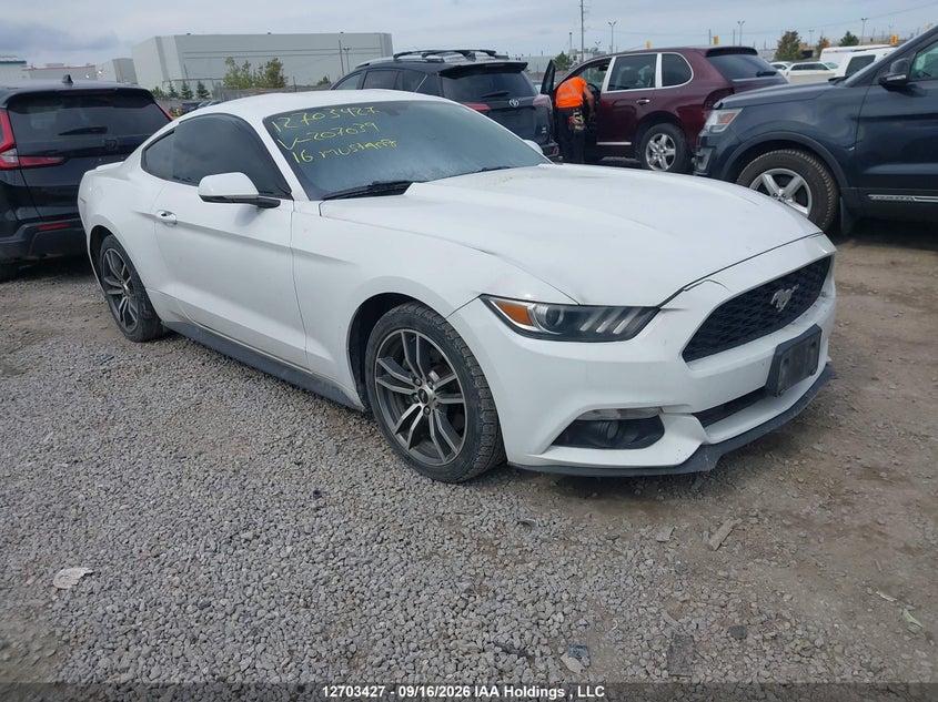 Vin: 1fa6p8th7g5207039, lot: 3109103, ford mustang 2016 img_1