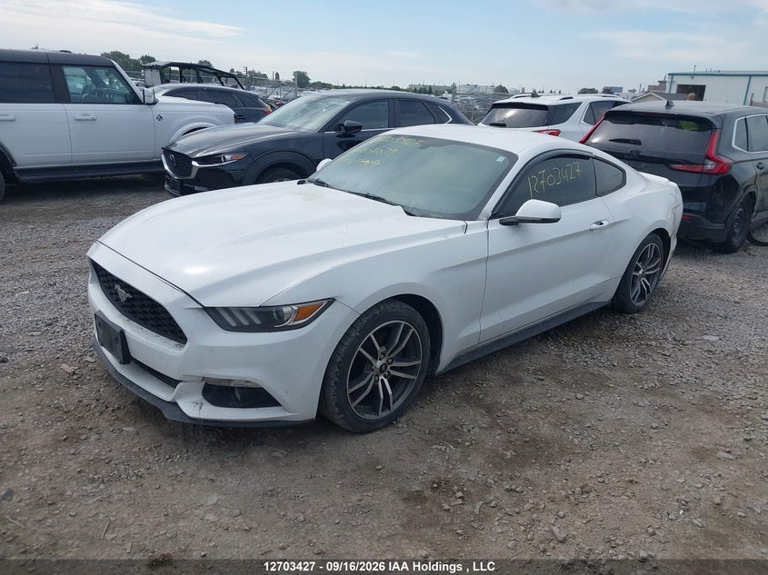 Vin: 1fa6p8th7g5207039, lot: 3109103, ford mustang 20162