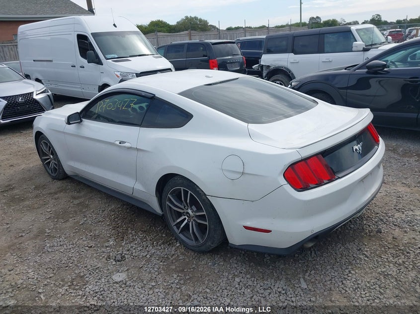 Vin: 1fa6p8th7g5207039, lot: 3109103, ford mustang 20163