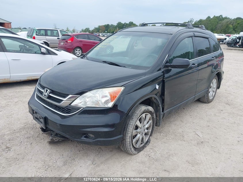 2011 Honda Cr-V Ex-L, Left Side, IAAI, VIN 5J6RE4H77BL813882 — photo 2