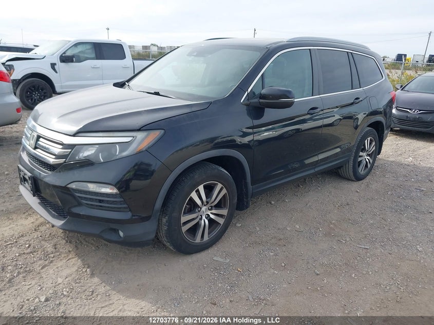 2016 Honda Pilot Exl, Затопление, IAAI, VIN 5FNYF6H50GB501101 — фото 2