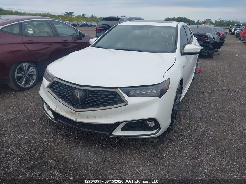 2018 Acura Tlx Tech A-Spec, Rear, IAAI, VIN 19UUB3F65JA802081 — photo 2