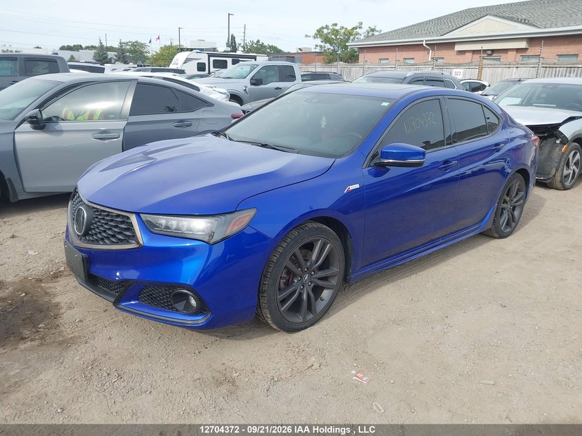 Vin: 19uub1f62la800893, lot: 3110102, acura tlx tech a-spec 20202