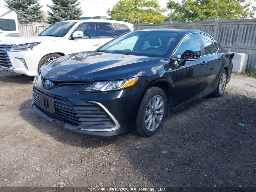 Vin: 4t1c31akxru078068, lot: 3110917, toyota camry hybrid le 20242