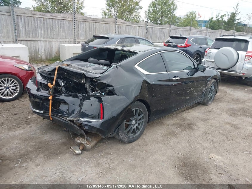 Vin: 1hgct1b87ga800684, lot: 3110922, honda accord exl 20164